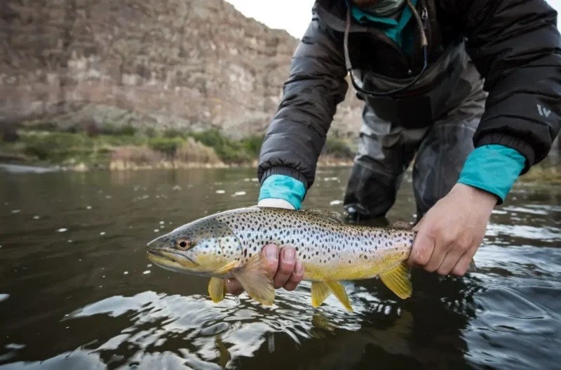 How to Read a Fish Finder