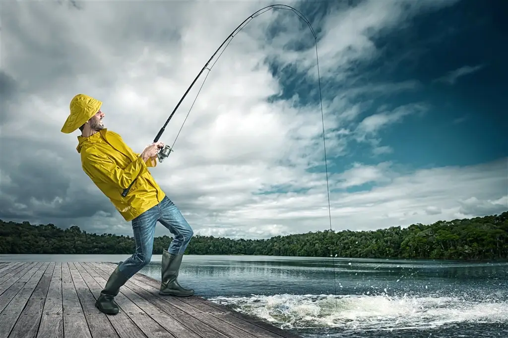 How Fish Are Displayed on A Fish Finder