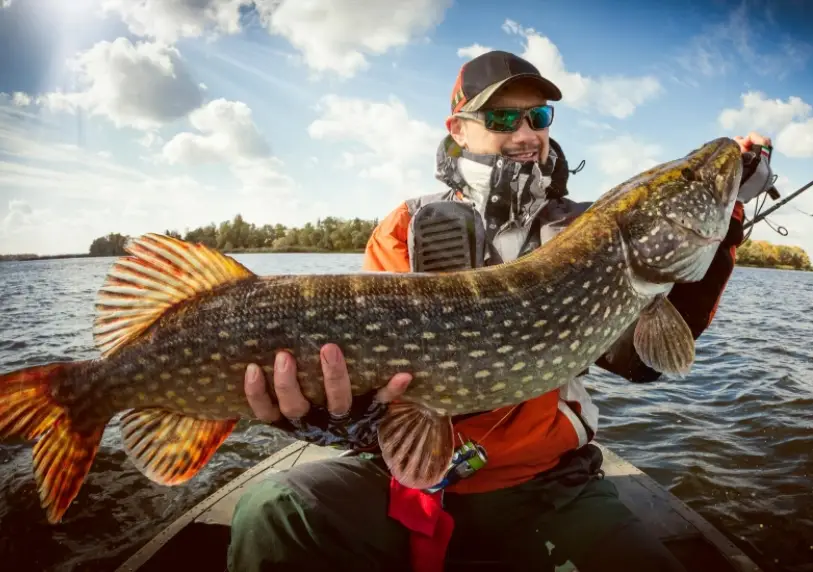 What Is A Wireless Fish Finder