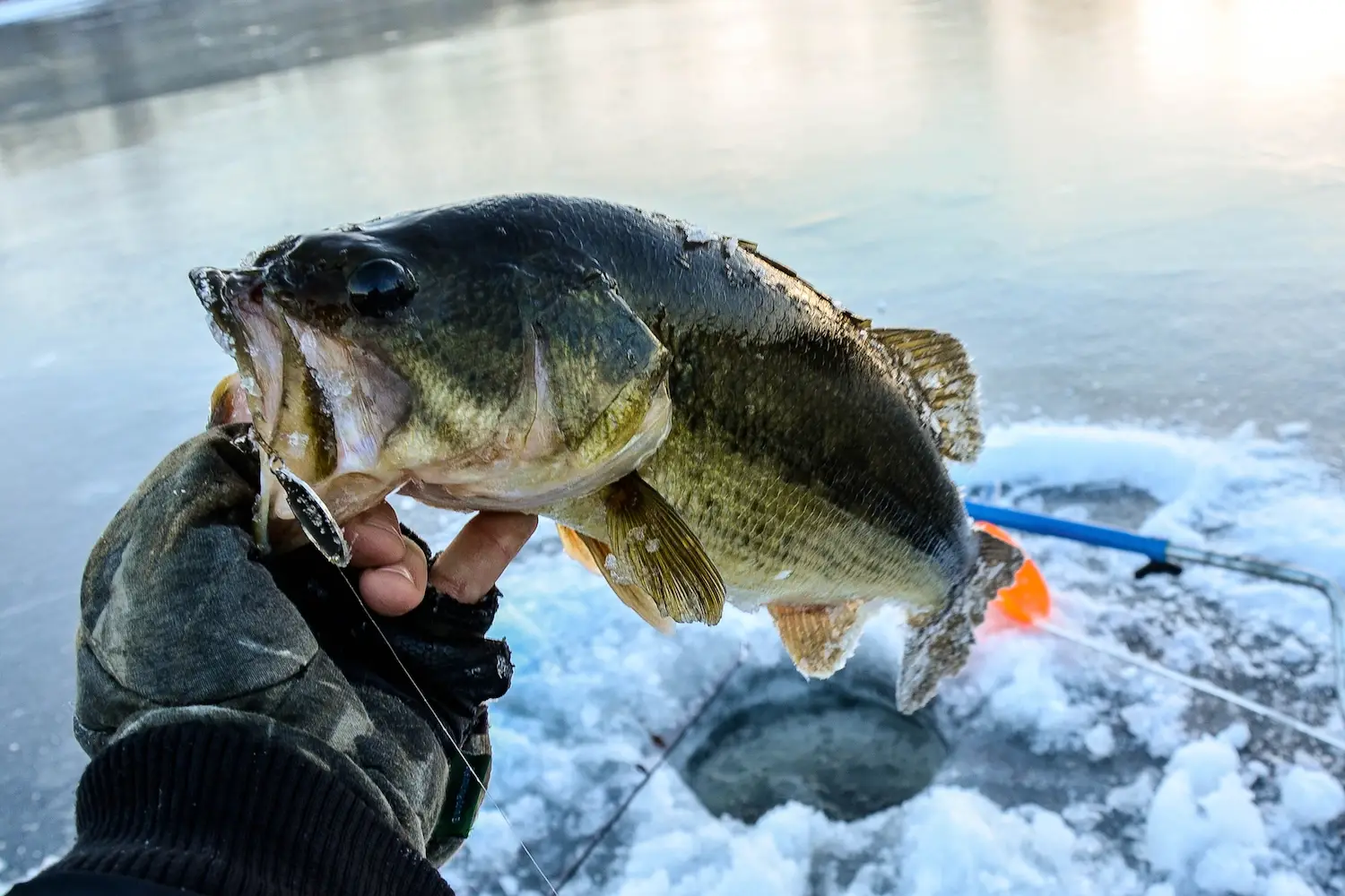 Lucky Fish Finder Helps You Locate Them Precisely