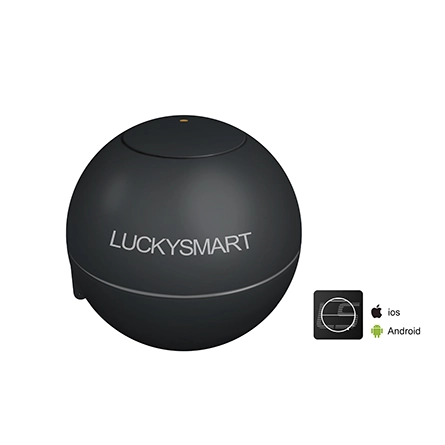 LS-2W